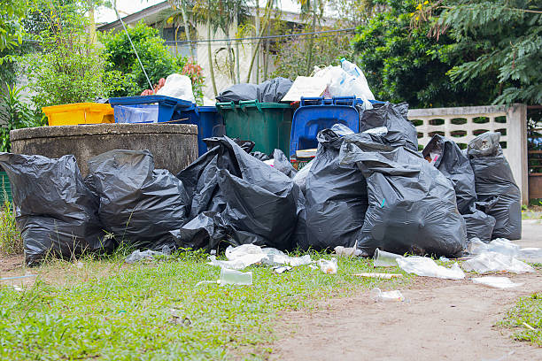 Best Trash Removal Near Me  in Phenix City, AL